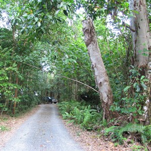 Road access track through campground