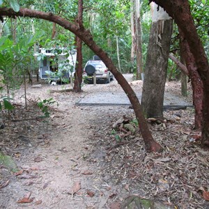 Rainforest camping with pad for tents