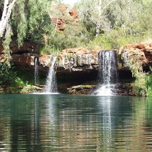 Fern Pool