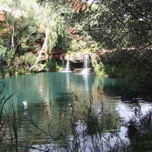 Fern Pool