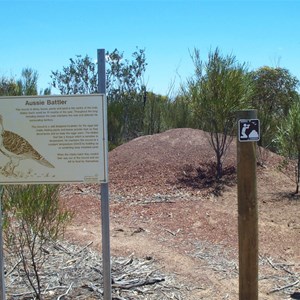 Mallee Fowl's Nest