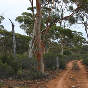 Victoria Rock Rd & Pigeon Hole Access