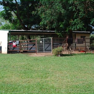 Mt Bundy Station Caravan Pk & Accomodation