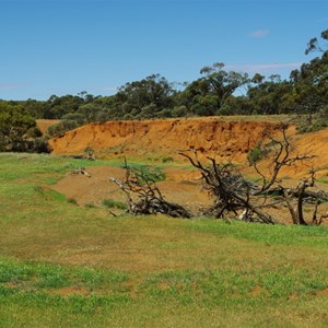 Wooded area and Creek Erosion