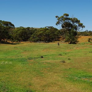 Wooded area and Creek Erosion