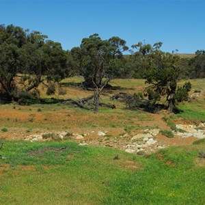 Wooded area and Creek Erosion