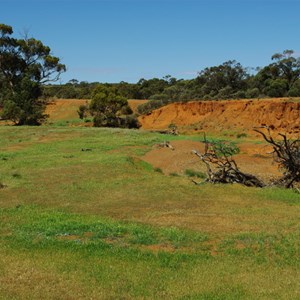 Wooded area and Creek Erosion