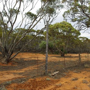 Old Telegraph Lines & Rabbit Proof Fence