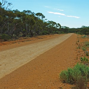 Old Telegraph Lines & Rabbit Proof Fence