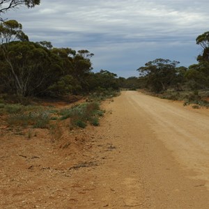 Old Telegraph Lines & Rabbit Proof Fence