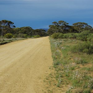 Franklyn Rd & Pandappa Rd