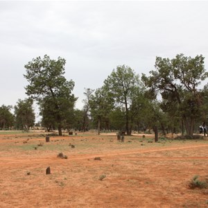 Main Camp (Mungo NP)