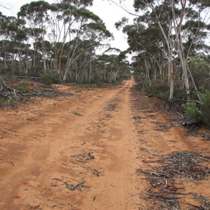 Jyndabinbin Rock & Telegraph Track