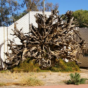 The Black Stump