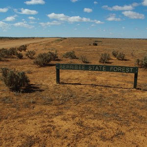 Berribee State Forest Boundary Sign