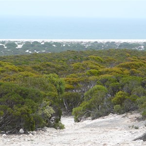 Steep Gradient at Wylie Scarp above Twilight Cove