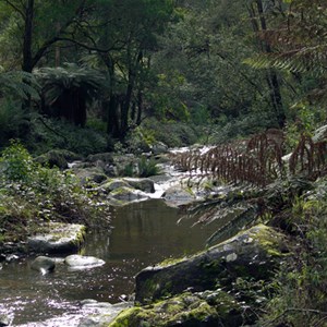 Stevensons Falls