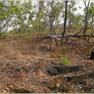 World War II US Hospital Site