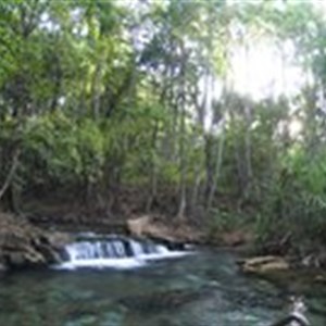 Berry Springs Nature Park