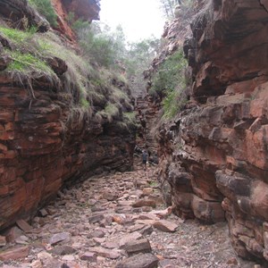 Alligator Gorge