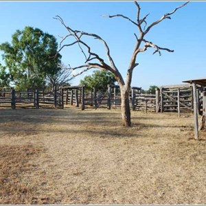 Bullita Stockyards