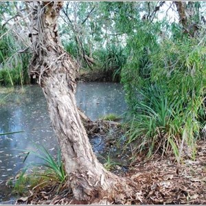 Gunbunbu Waterhole