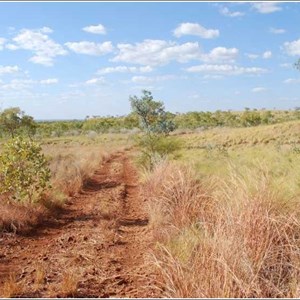 Gibbie Creek Track