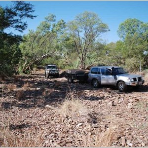 Gibbie Creek Track