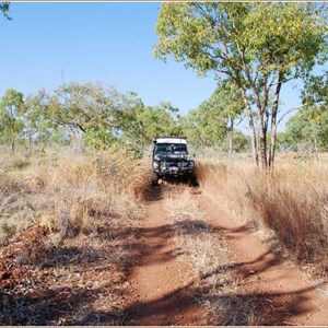 Gibbie Creek Track