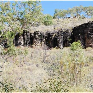 Gibbie Creek Track