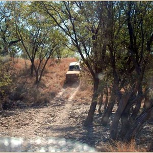 Gibbie Creek Track