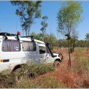 Gibbie Creek Track