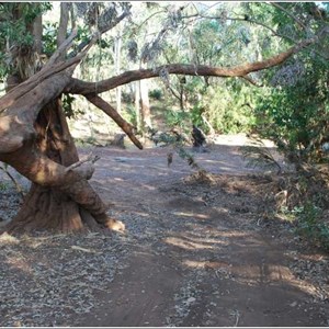 Wickham River Crossing