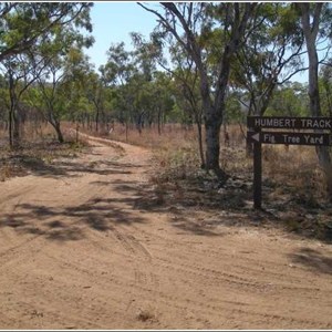 Fig Tree Yard (Campground)