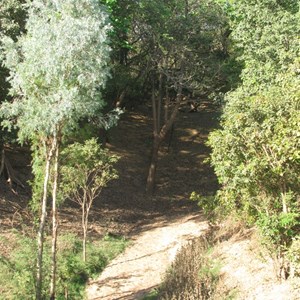 Bamboo Creek (Bat Poo Creek)