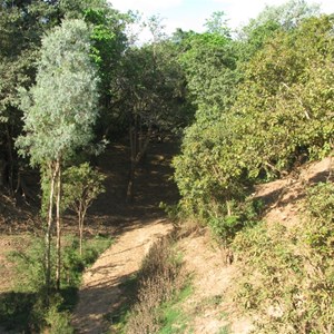 Bamboo Creek (Bat Poo Creek)