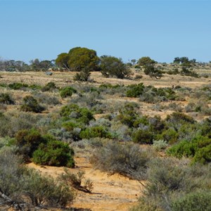 End of Track and Plumridge Lakes