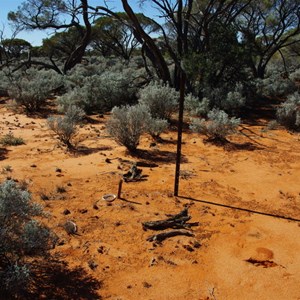 Vegetation Monitoring Area