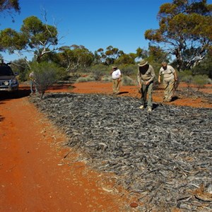 Remains of Old Sandalwood Camp