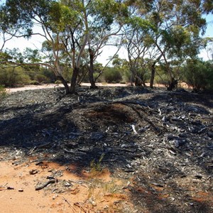 Remains of Old Sandalwood Camp