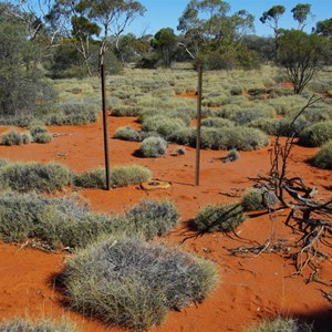 Star Dropper & Bench Mark Survey Marker