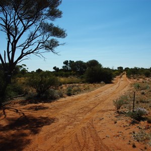 Salt Creek Junction and Tree Markers