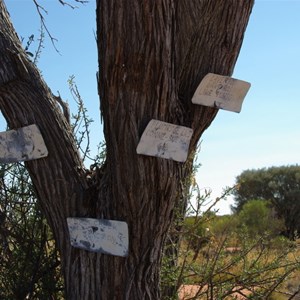 Salt Creek Junction and Tree Markers