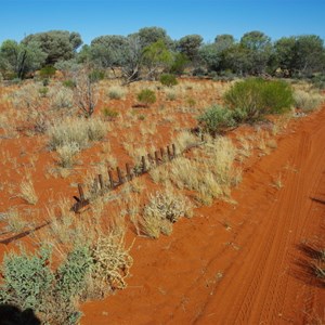 Remains of Old Sandalwood Rake