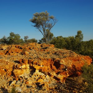 Bartlett Bluff