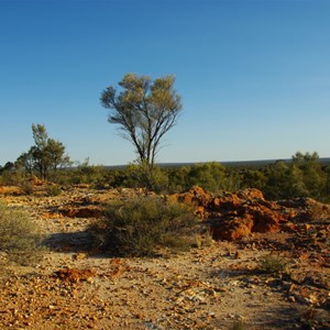 Bartlett Bluff