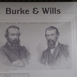 Burke and Wills Tree