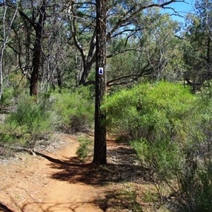 Old Blue and White Arrow Marker