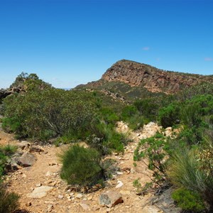 Tanderra Saddle