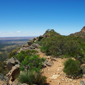 Tanderra Saddle